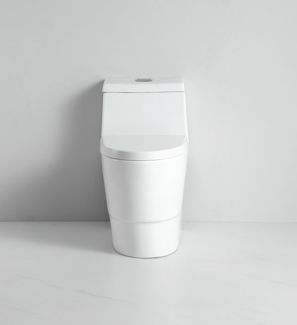 STALLION DAVINCY ST-301 ONE PIECE 360 SIPHONIC SOFT CLOSE TOILET