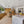 STALLION QUARTZITE  SUPERWHITE